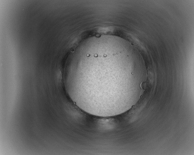 X0000115680375200911191058