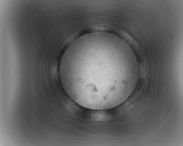 X0000115680377200911191059