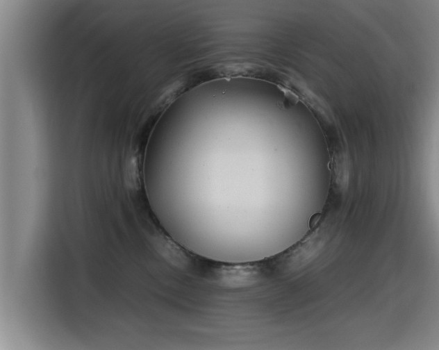 X0000115680378200911191059