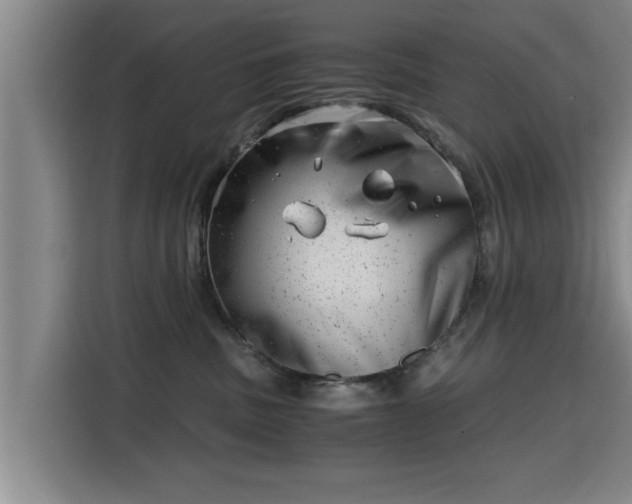 X0000115680379200911191059