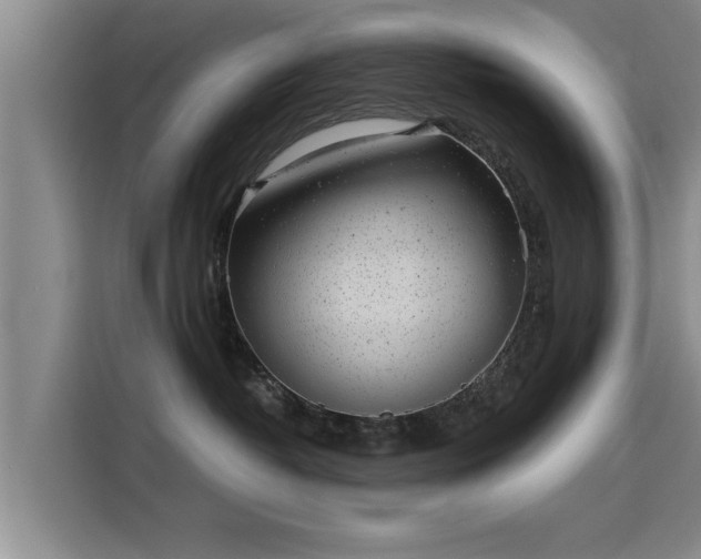 X0000115680382200911191059