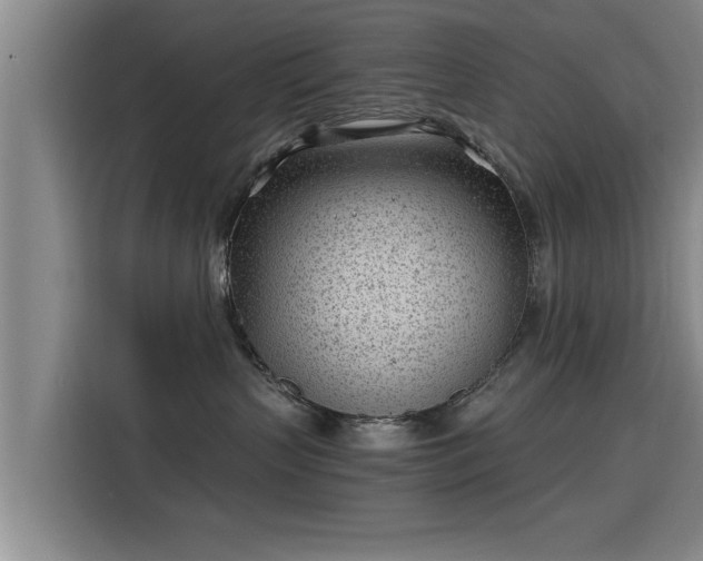 X0000115680383200911191059