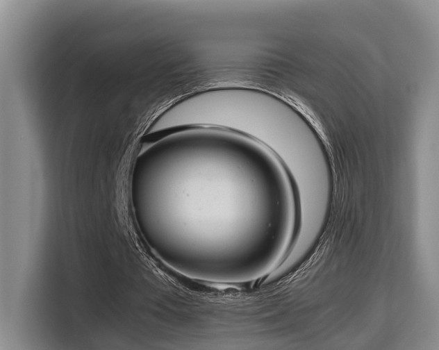 X0000115680385200911191058