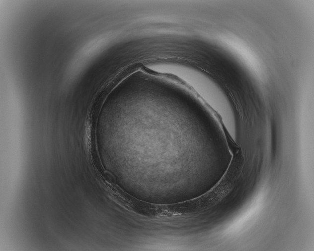 X0000115680387200911191058