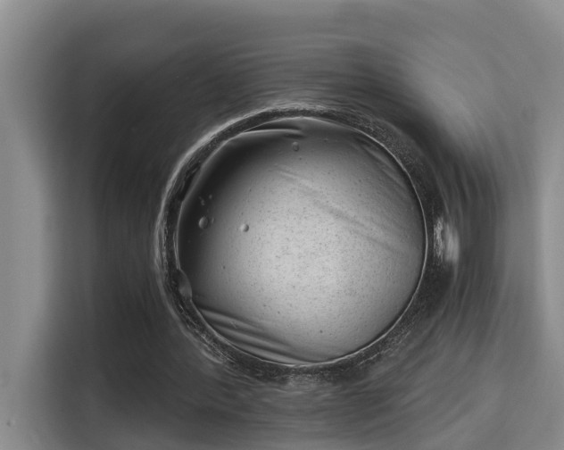 X0000115680388200911191058