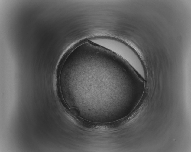 X0000115680391200911191058