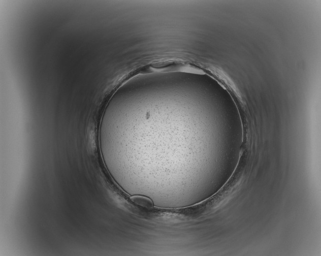 X0000115680393200911191058