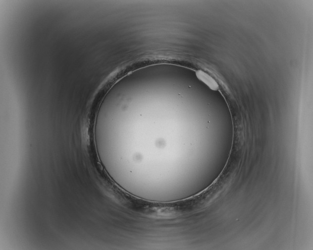 X0000115680395200911191058