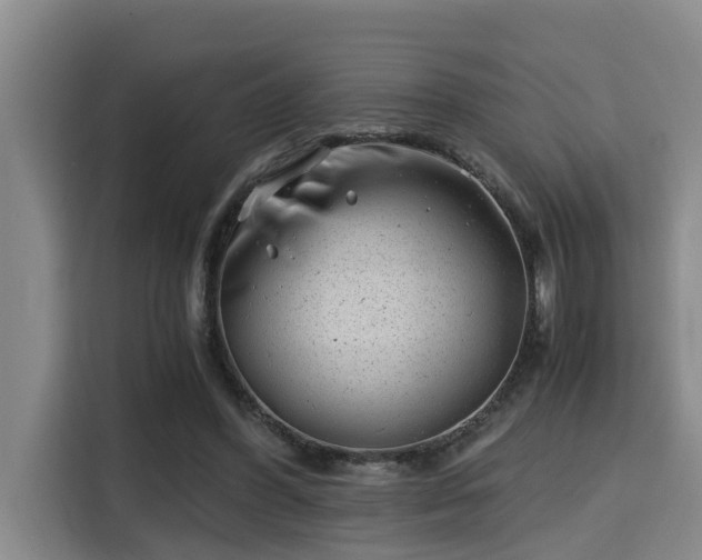 X0000115680396200911191058