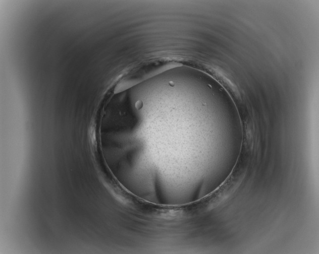 X0000115680398200911191058