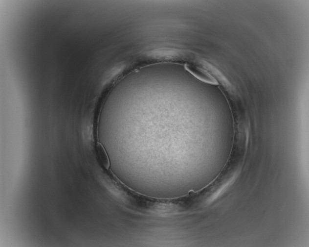 X0000115680399200911191058