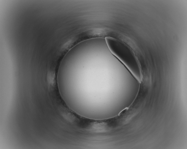 X0000115680403200911191058