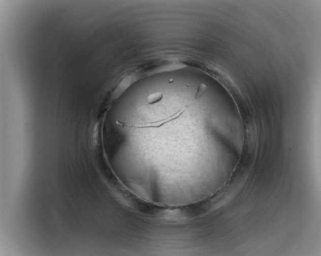 X0000115680406200911191058