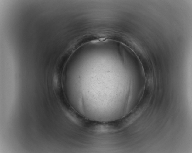 X0000115680408200911191058