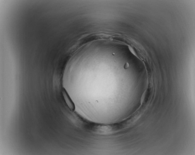 X0000115680409200911191058