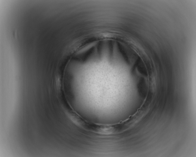 X0000115680410200911191058