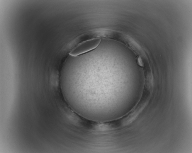 X0000115680413200911191058