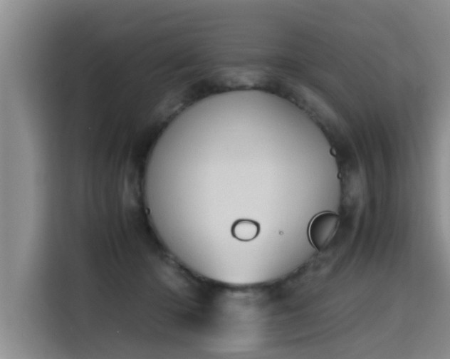 X0000115680414200911191058