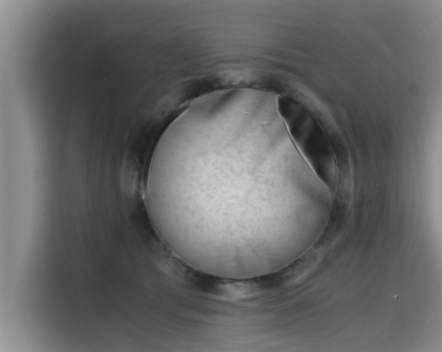 X0000115680417200911191058