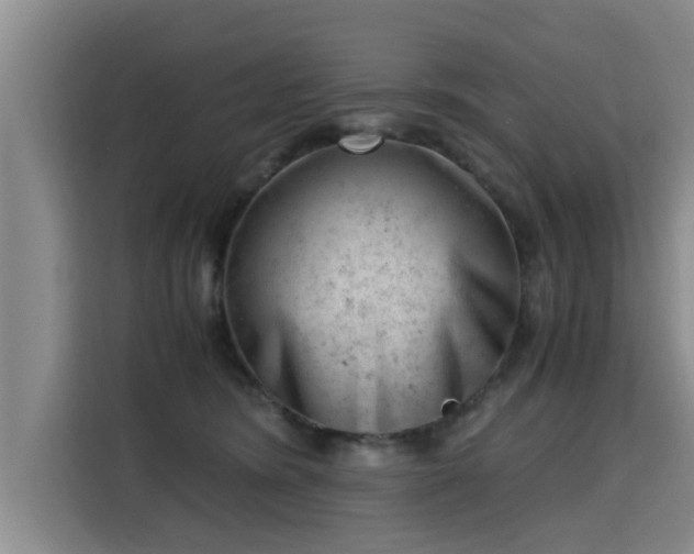 X0000115680420200911191058