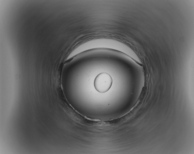 X0000115680421200911191058