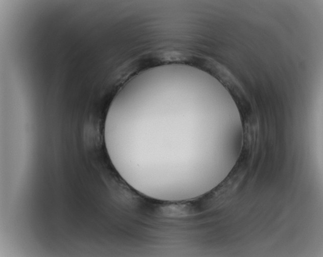 X0000115680422200911191057