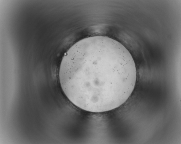 X0000115680423200911191057