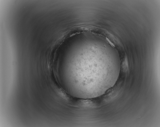 X0000115680424200911191057