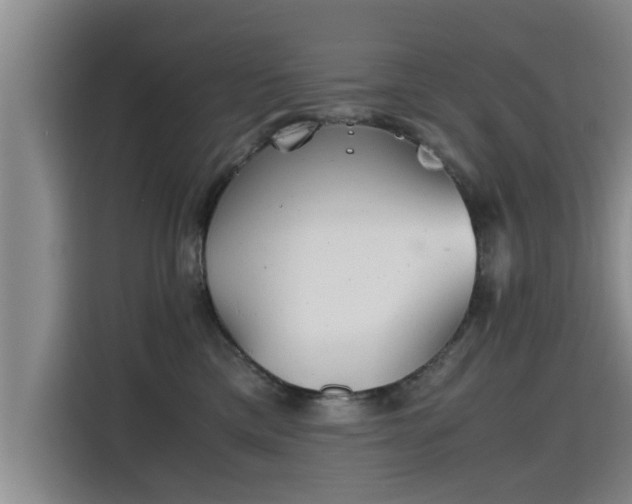 X0000115680425200911191057