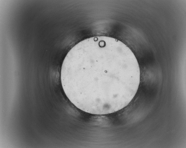 X0000115680427200911191057