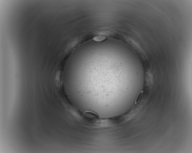 X0000115680428200911191057