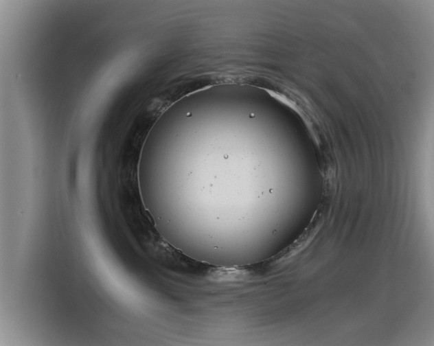 X0000115680429200911191057