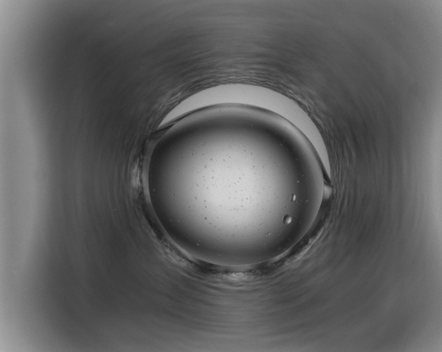 X0000115680431200911191057