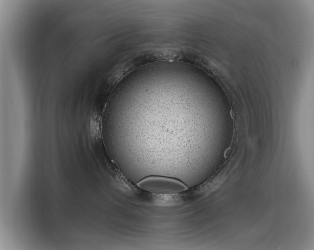 X0000115680432200911191057