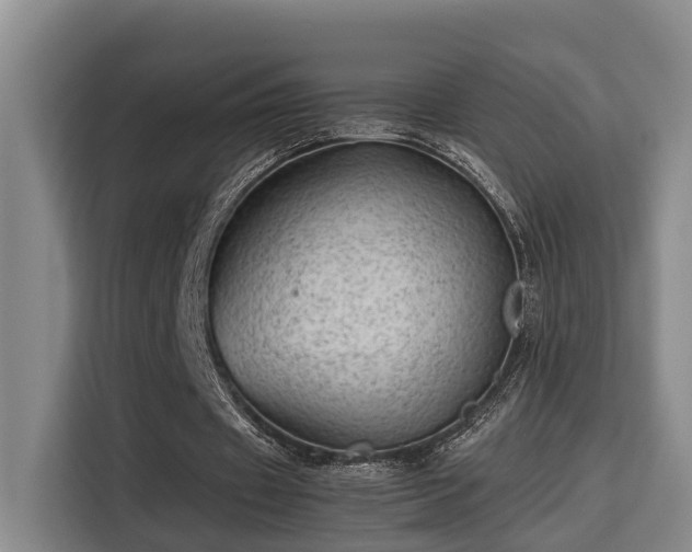 X0000115680433200911191057