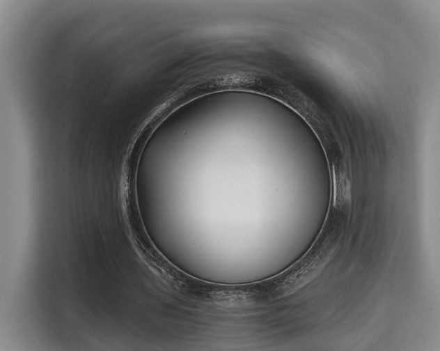 X0000115680435200911191057