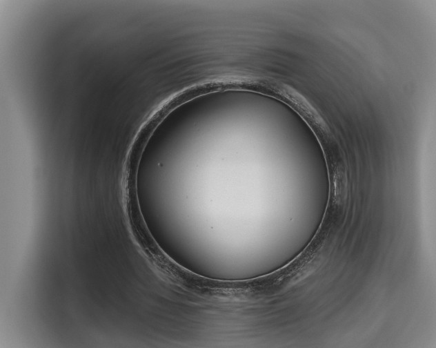 X0000115680436200911191057