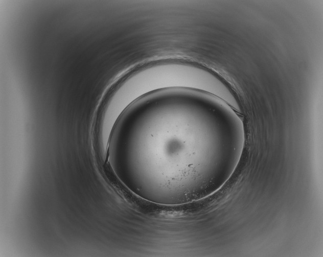 X0000115680440200911191057