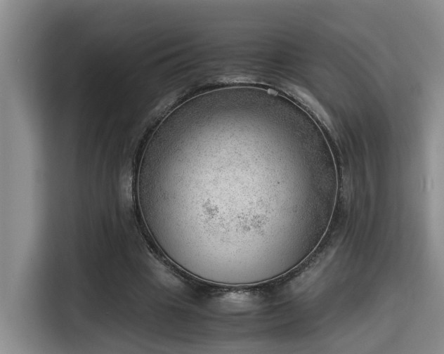 X0000115680441200911191057