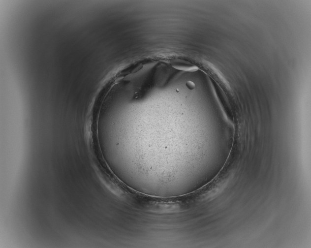 X0000115680443200911191057