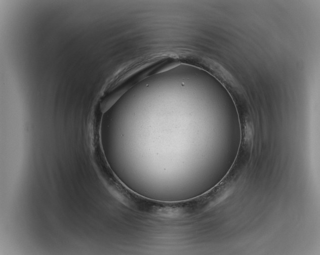 X0000115680444200911191057