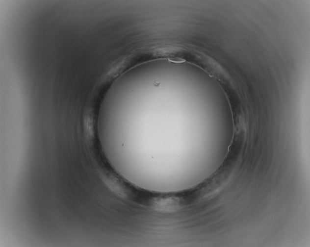 X0000115680452200911191057