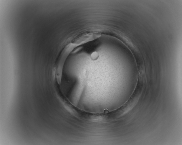 X0000115680454200911191057