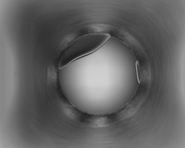 X0000115680456200911191057