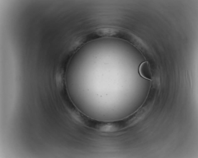 X0000115680460200911191057