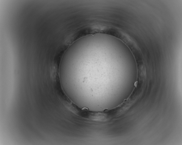 X0000115680463200911191057