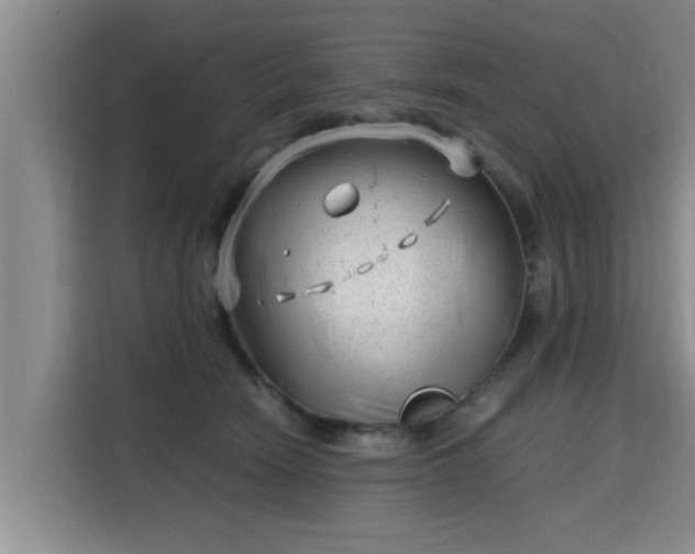 X0000115680466200911191057