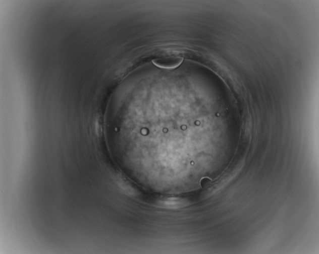 X0000115680467200911191057