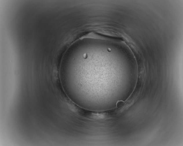 X0000115680469200911191057