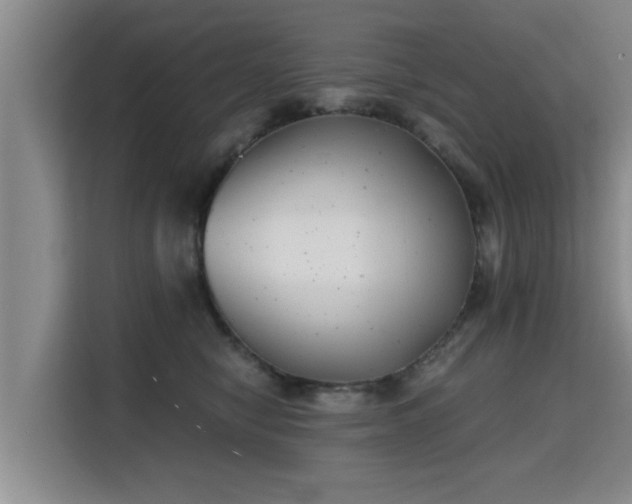 X0000115680470200911191057